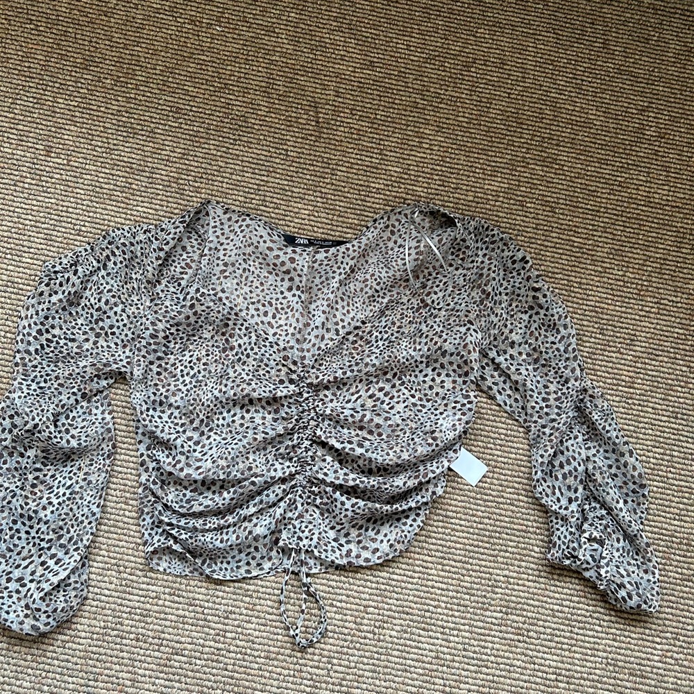 Zara blouse